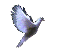 lovedov.gif (38556 bytes)